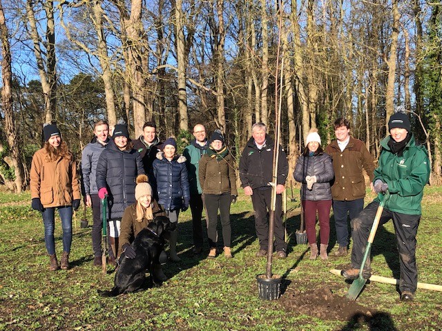 90 trees to be planted for the Queen's Green Canopy initiative - Juddmonte