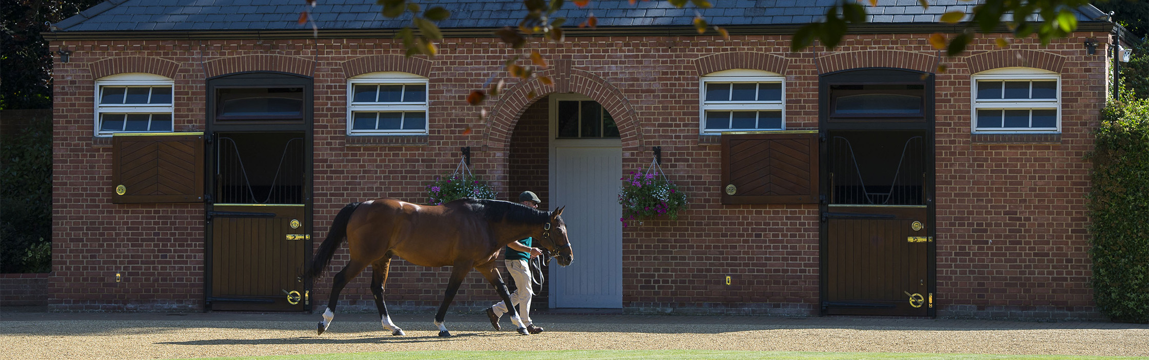 Juddmonte Farms Inc
