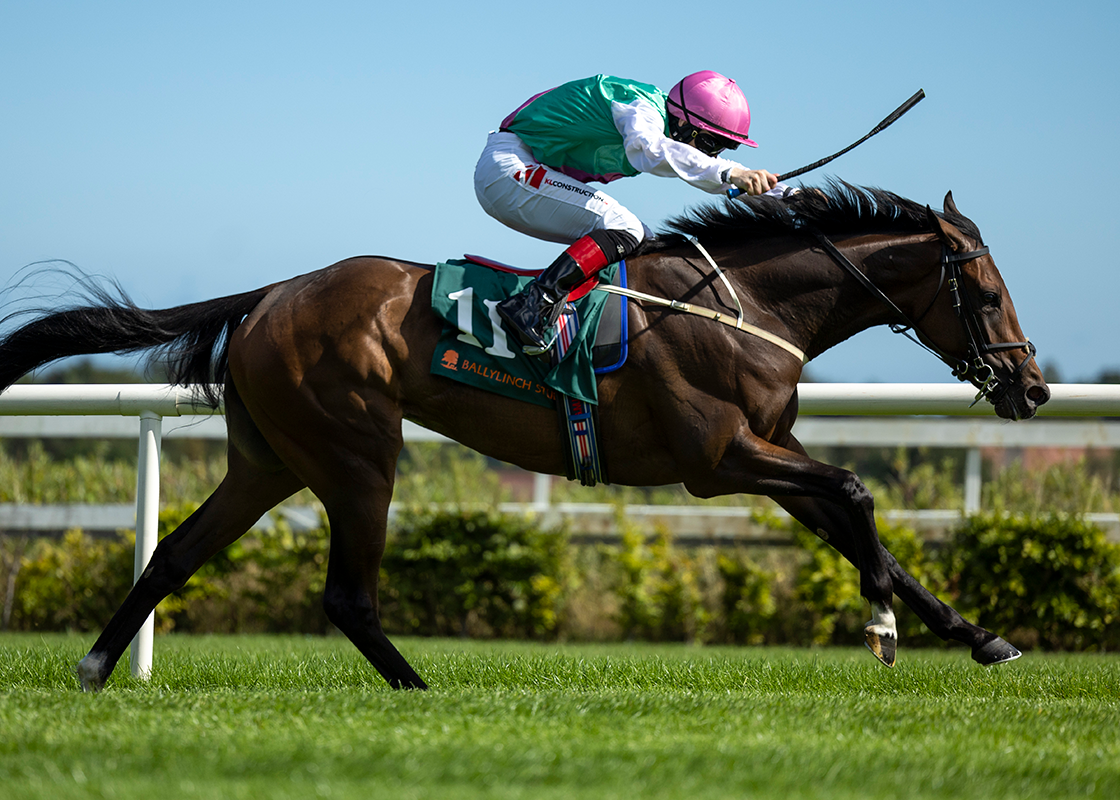Juddmonte Farms Inc
