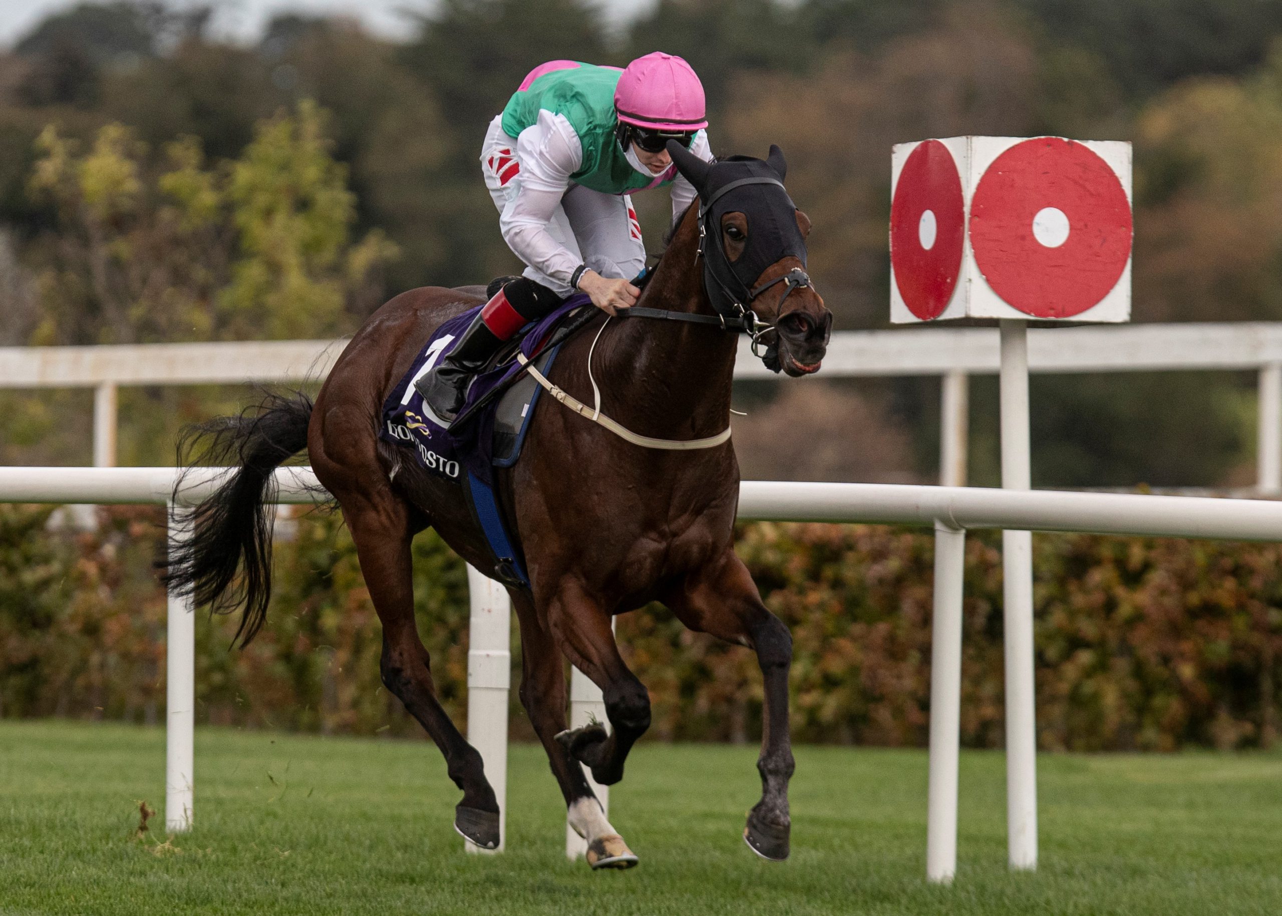 Masen posts his first US blacktype win Racing