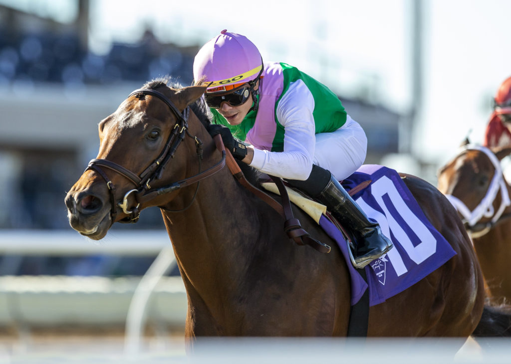 Grade 3 Racing Grade 3 win for juvenile Verbal - Racing