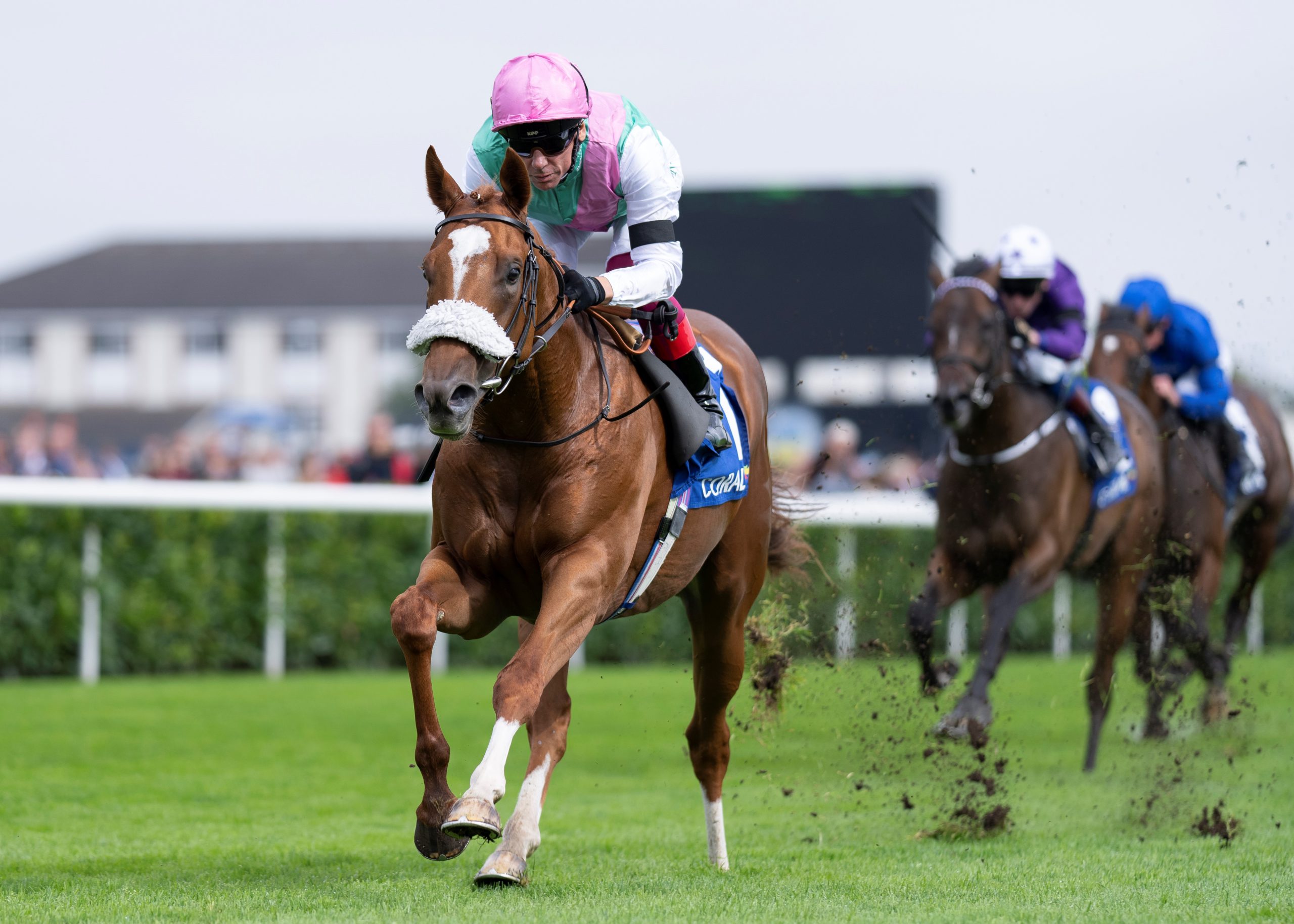 Chaldean announced as highest rated British juvenile in 2022 - Racing