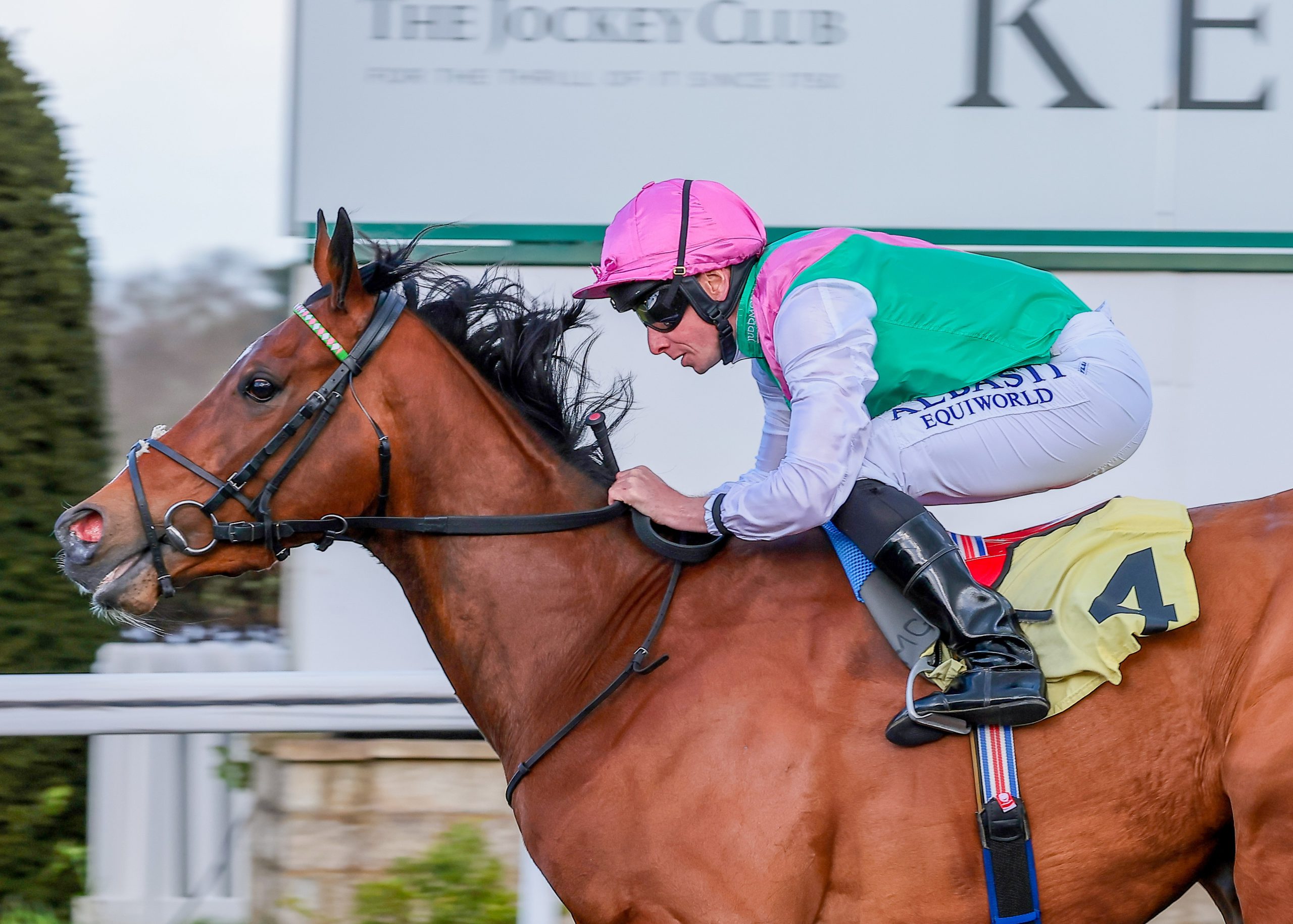 First stakes win for Laurel Racing First stakes win for Laurel Racing