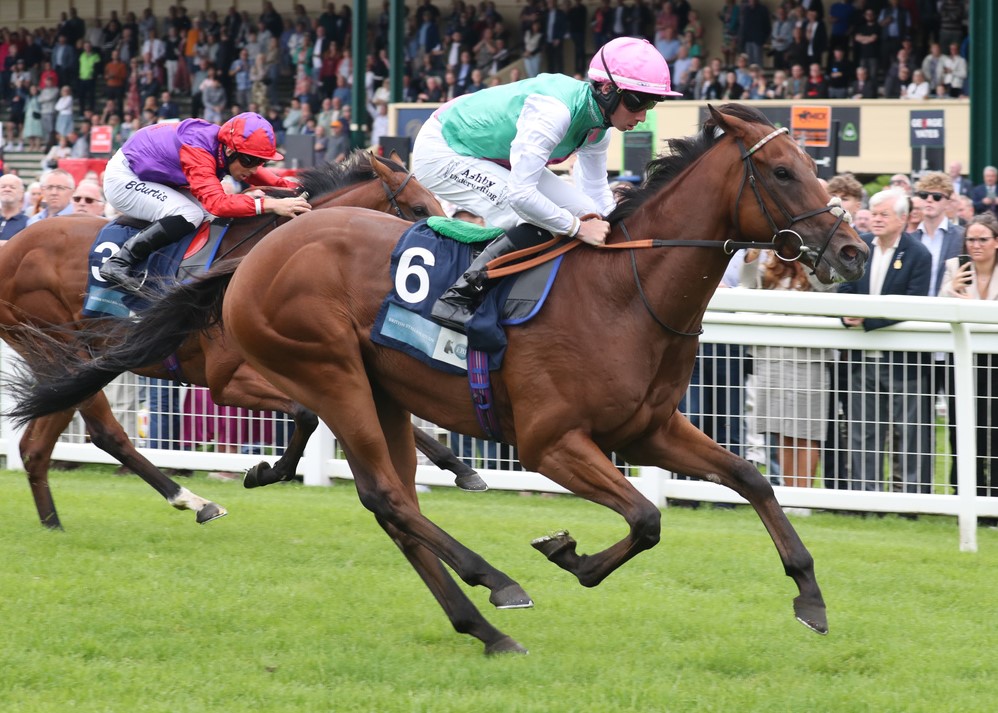2YO Task Force claims his first blacktype win - Racing