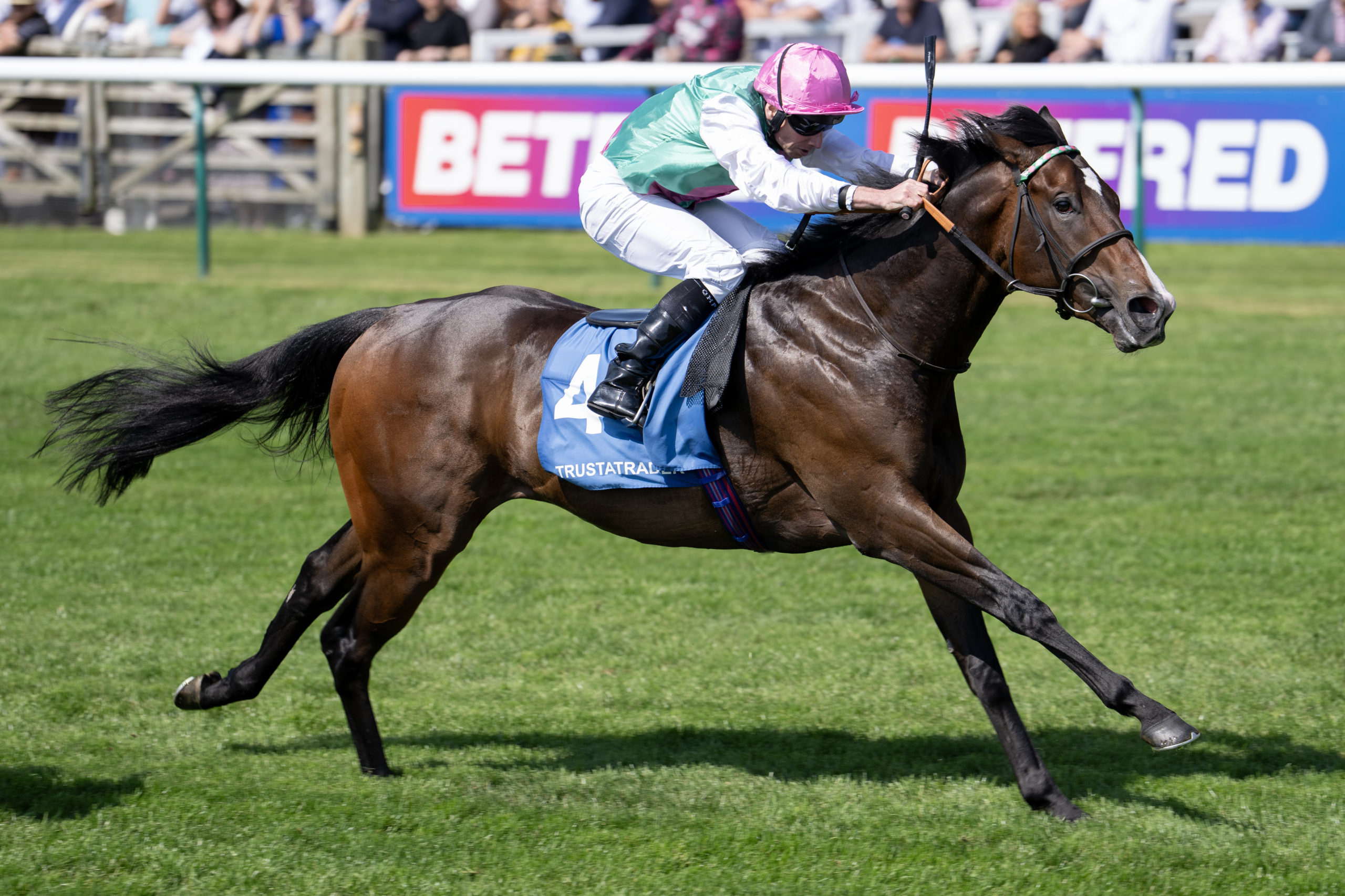 Cosmic Trix Cosmic Year - Racing