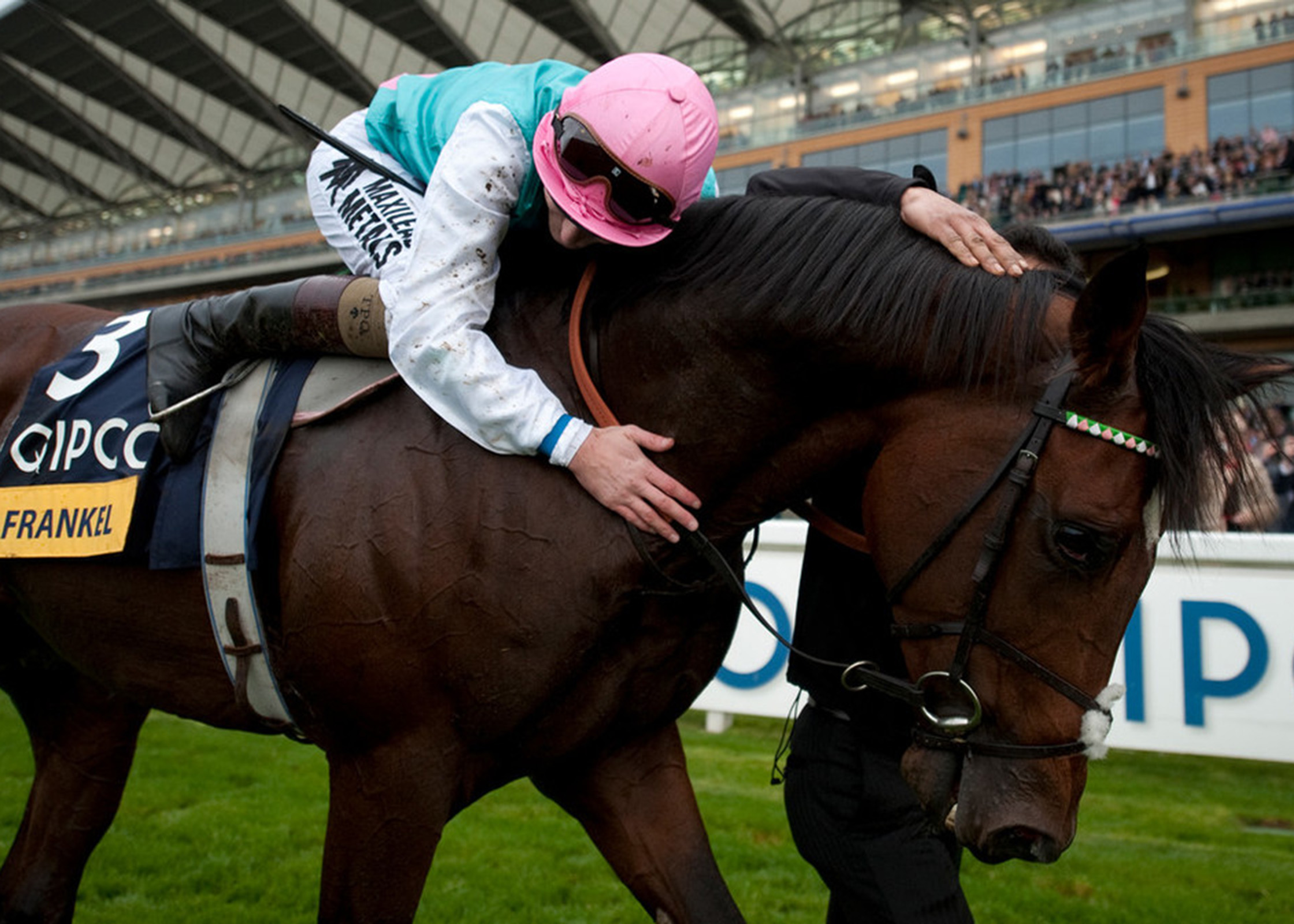 Frankel - Juddmonte Stallion