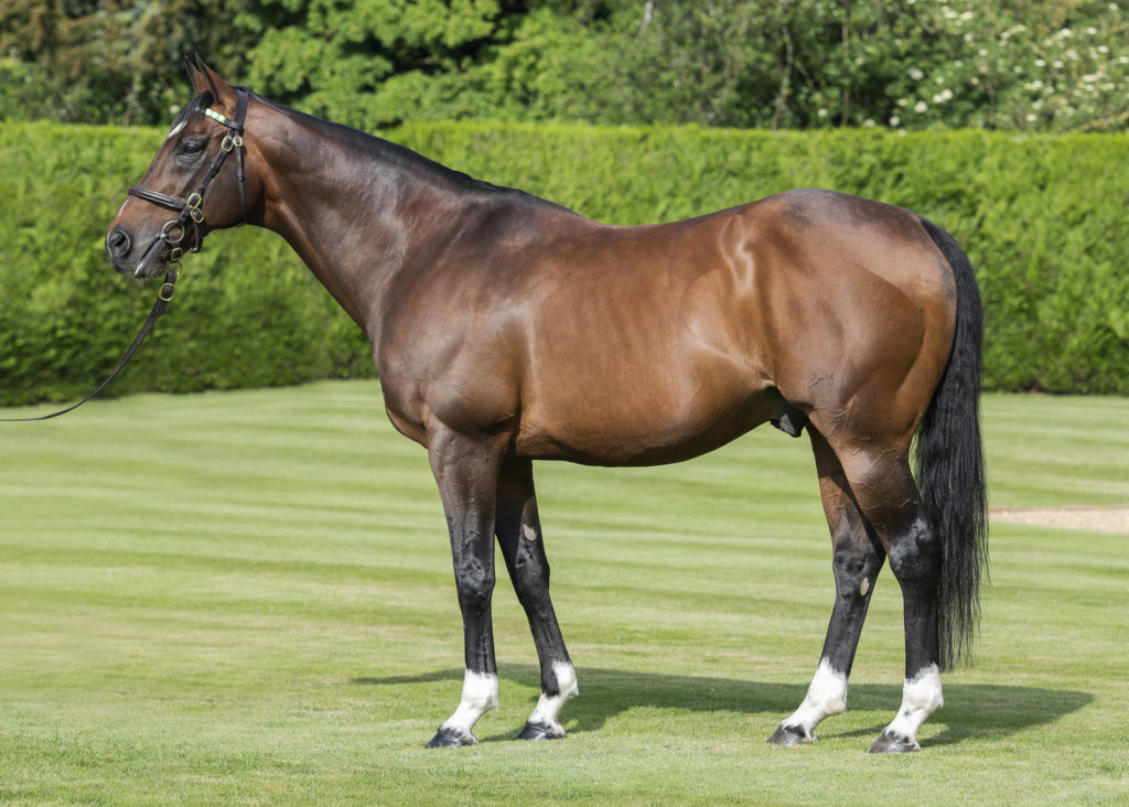 Frankel
