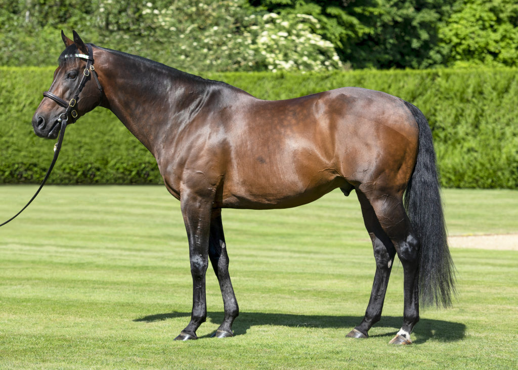 Kingman
