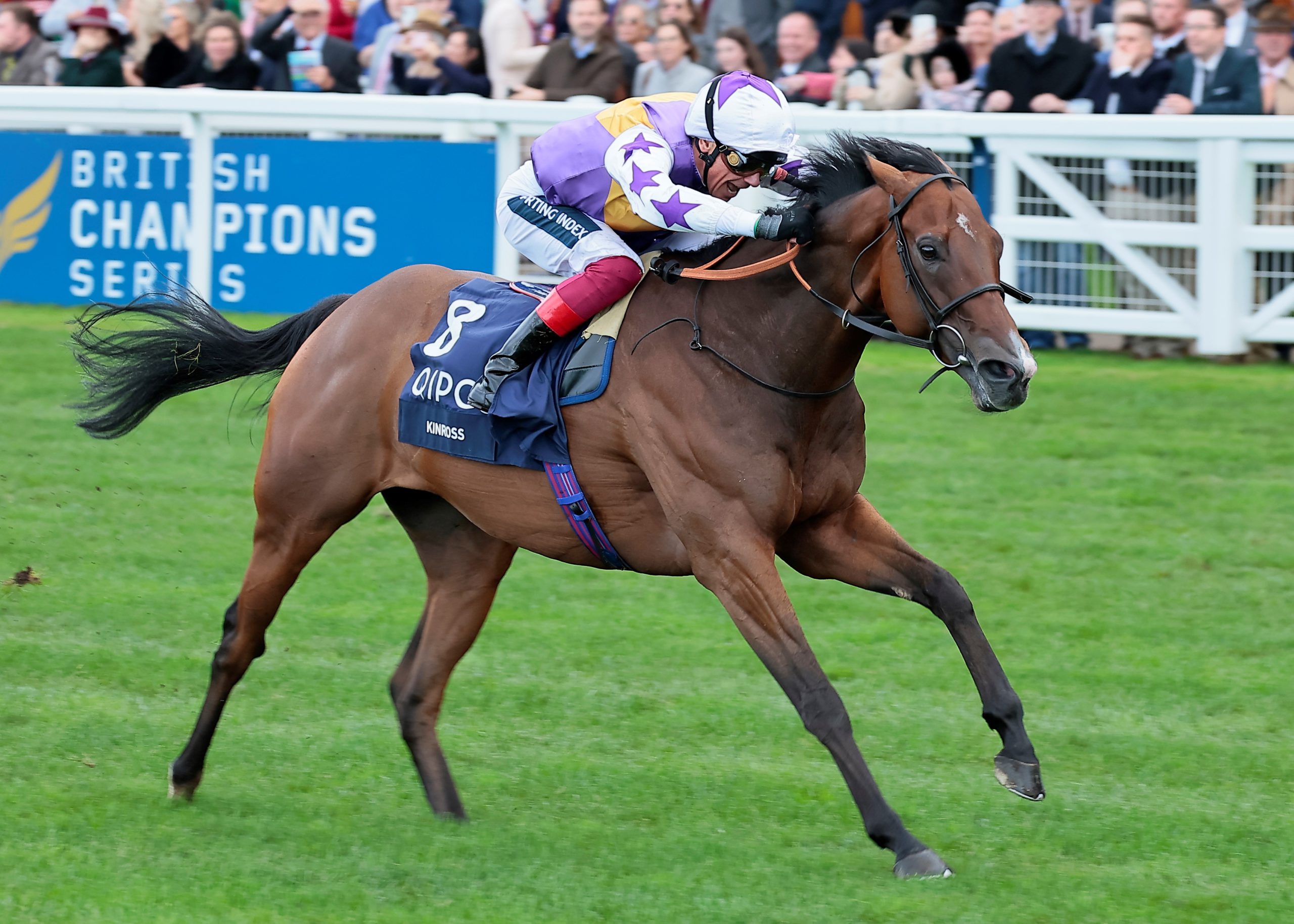 Kinross a class above at Ascot Stallions