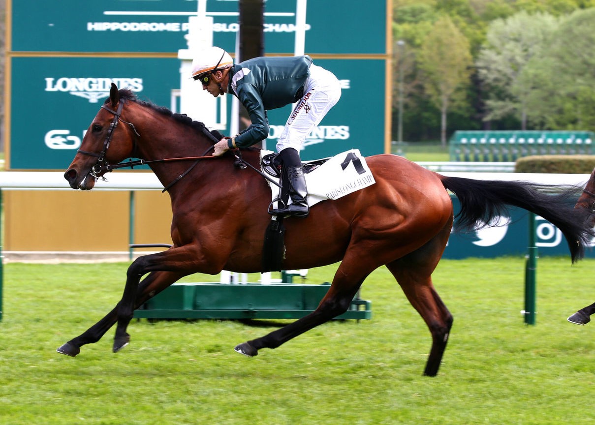 Kingman 'rising Star' Feed The Flame Looks Classic Material - Stallions