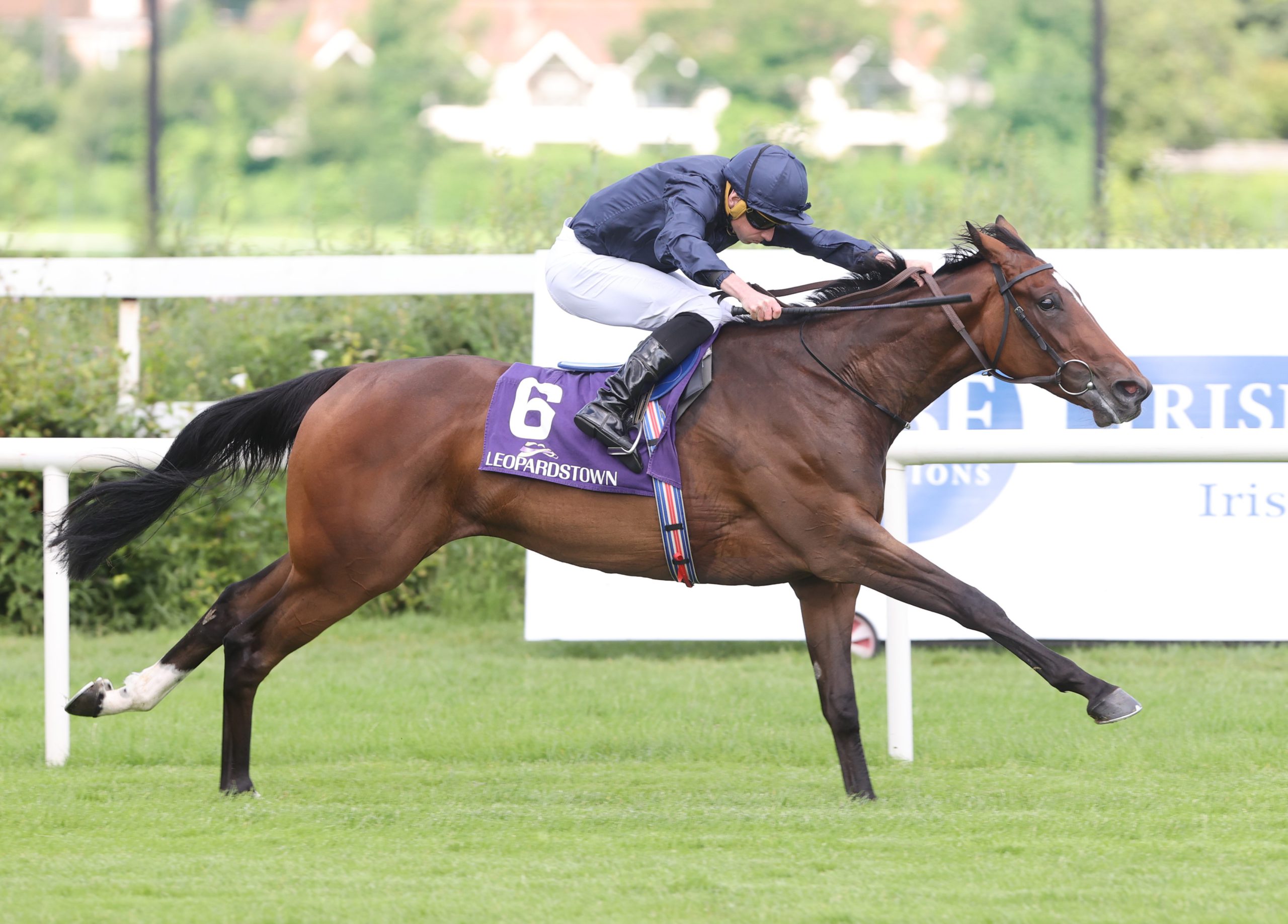 Ylang Ylang Ylang Ylang