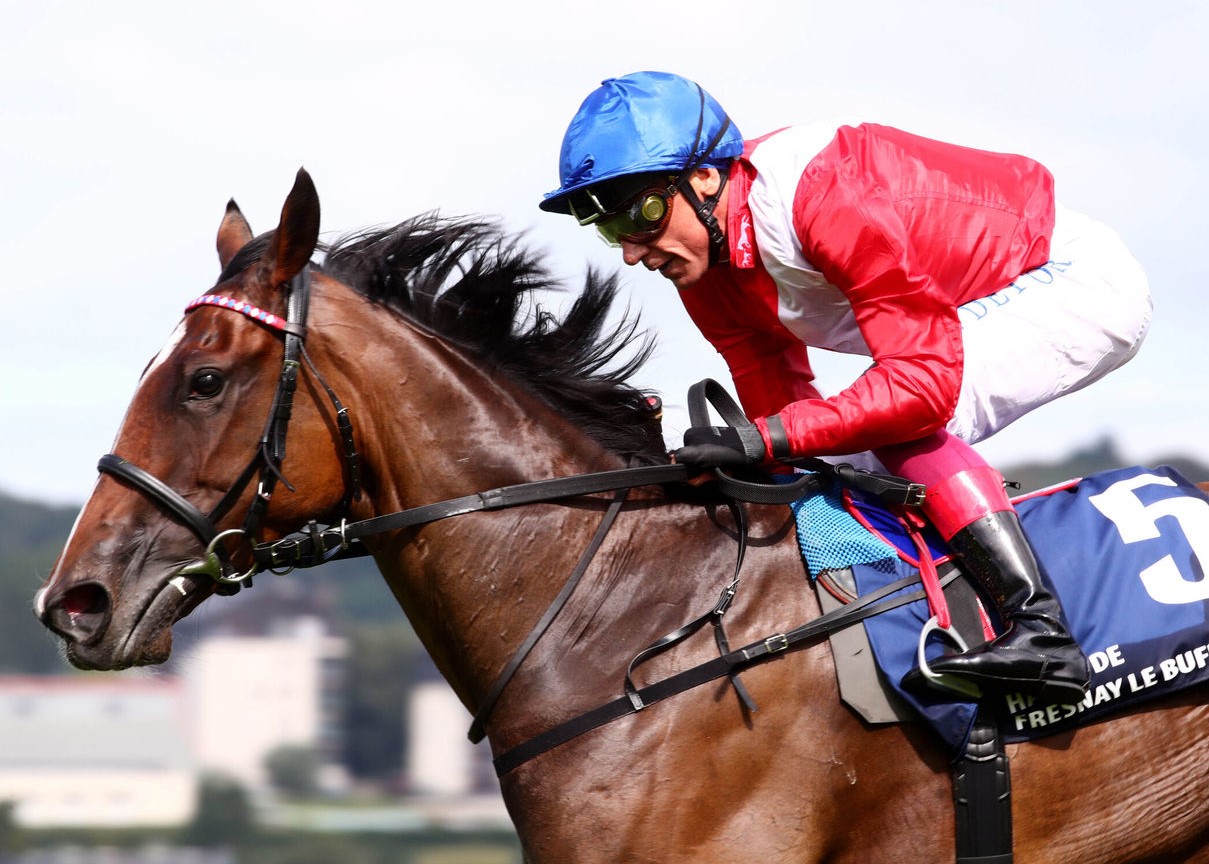 Second Jacques Le Marois for Inspiral - Stallions